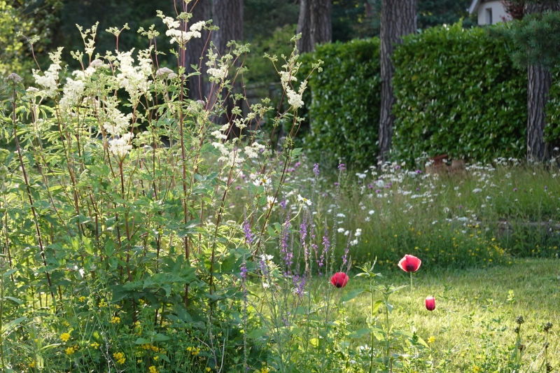 Pines Corner Wildlife Garden